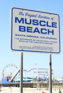 Muscle Beach Big
